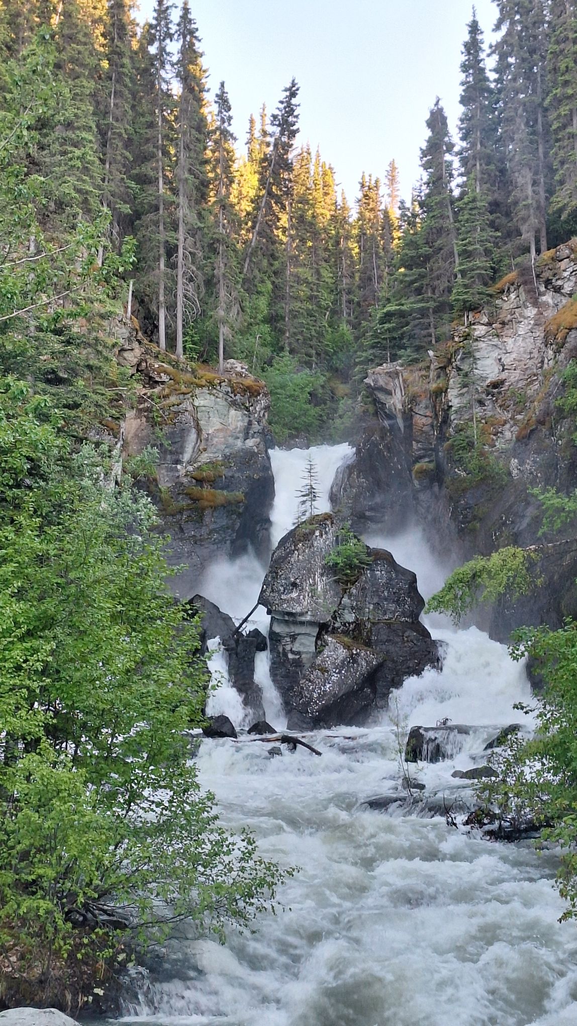 20240618_2029195293650064709565352