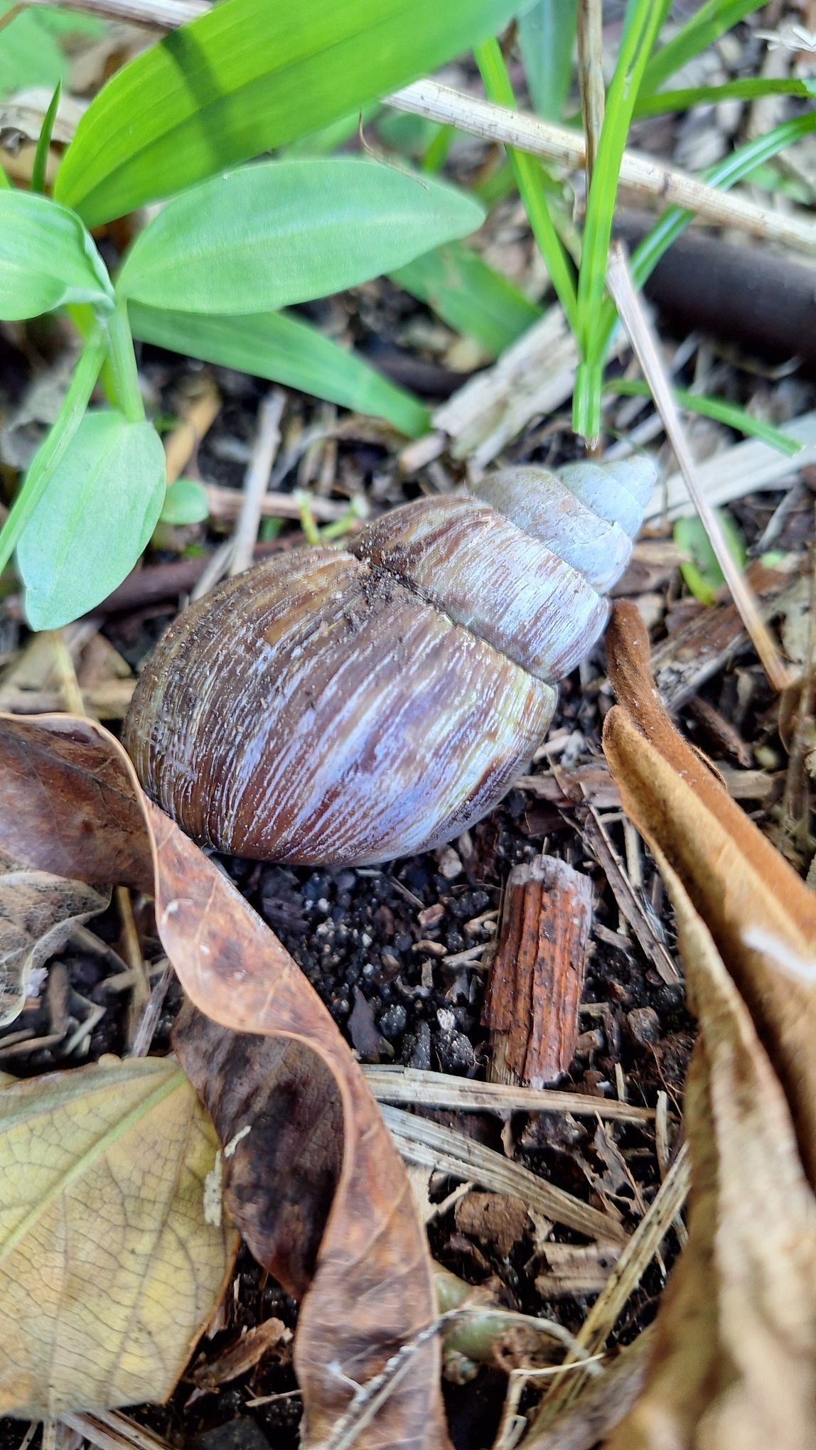 20241009_1118026660669471529357981