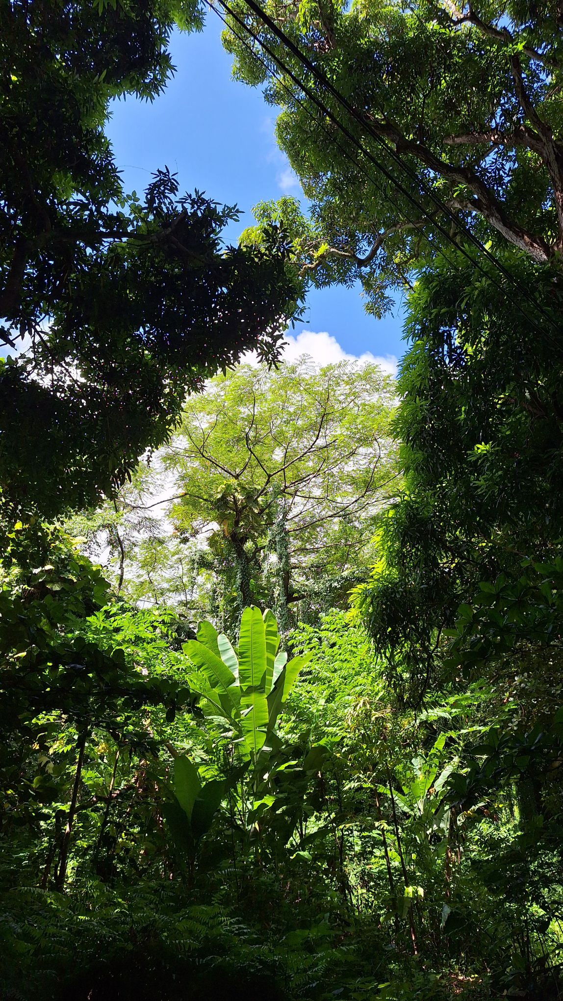 20241009_1121442150580960979529011