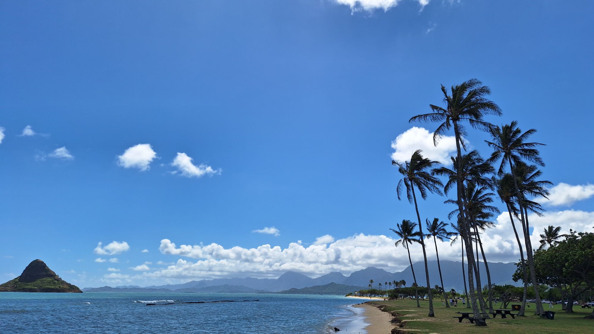 20241009_1146525945044653606793143