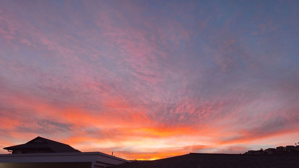 20250830_1859327134465426335289555