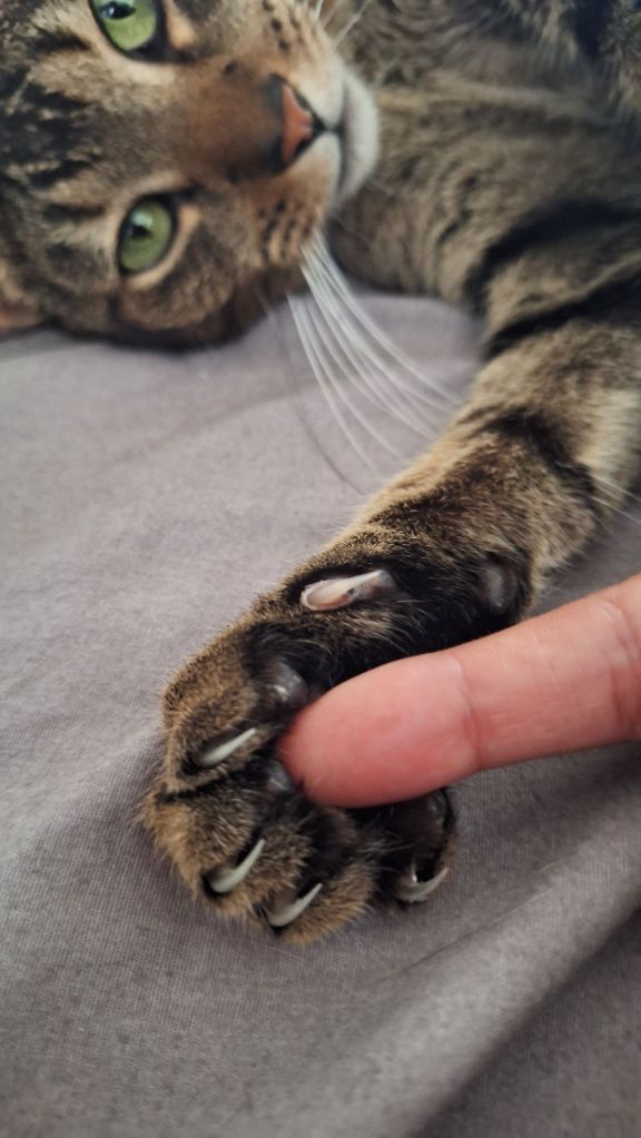 20250901_1638356022570455570885782