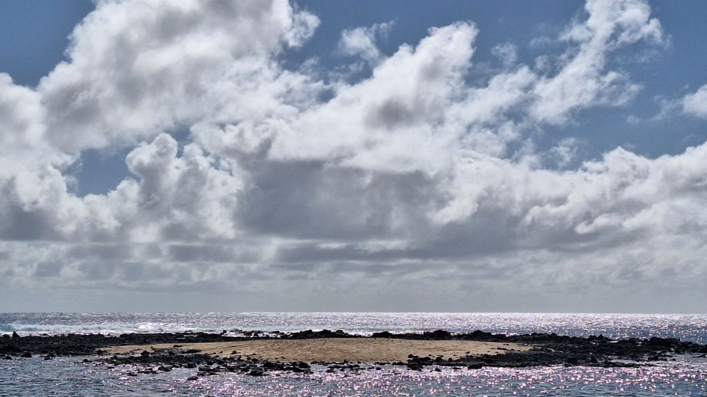 20251231_1336551153560856137937687