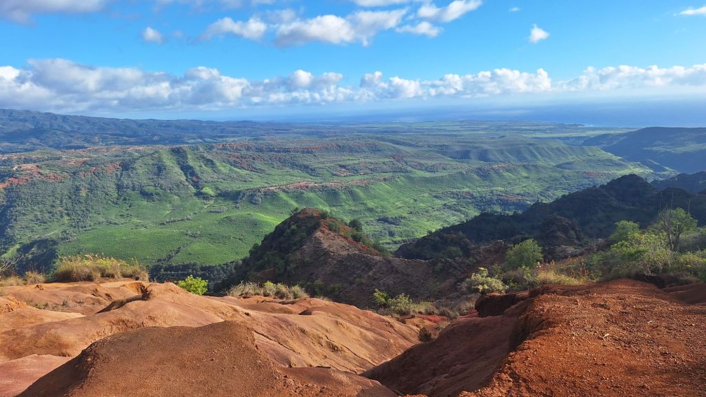 20251231_1558105541053399288940550